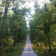 Auxier Ridge, a year after the fire